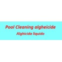 Pool cleaning algheicide