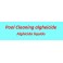 Pool cleaning algheicide